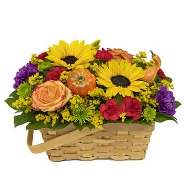 Bountiful Blooms Basket - Life’s a picnic, filled with colorful possibilities. That thought is underscored to the max with this spectacular blending of sunflowers, carnations, athos poms, solidago, roses and faux gourd accents...in a charming splitwood basket. Arrangement Height 9", Length 15"