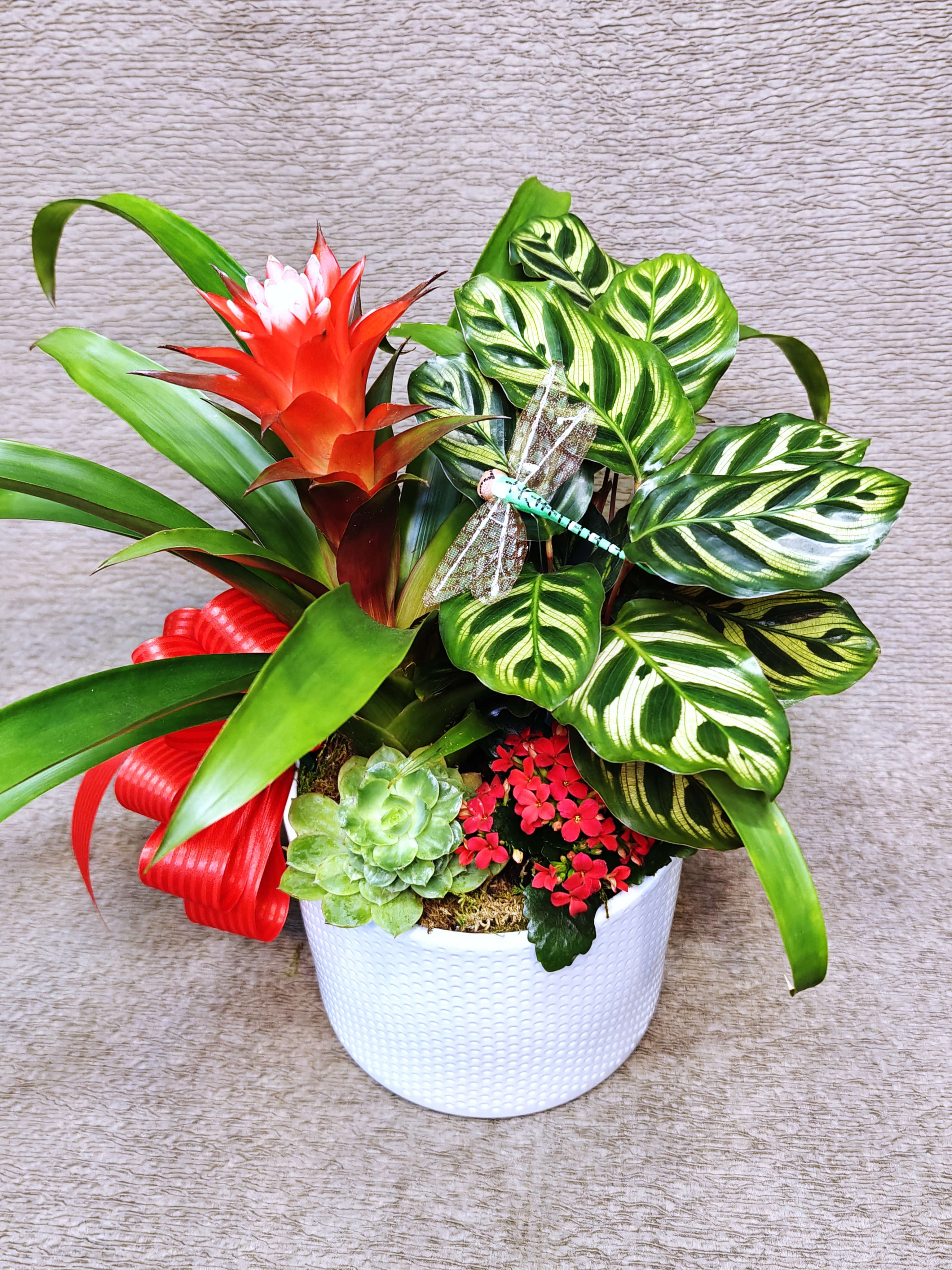 Potted plant garden with red bromeliad bloom, succulent, red blossoms, and patterned foliage in a white container
