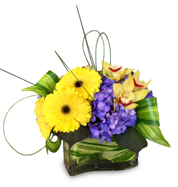 Yellow gerbera daisies with purple hydrangea and yellow orchids in a glass vase