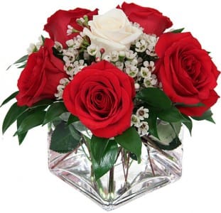 CIRCLE OF LOVE  ARRANGEMENT - A single white long stem rose rests in a bed of delicate white flowers, surrounded by five beautiful red long stem roses with added greenery. This romantic version of a traditional 1/2 dozen roses makes a perfect  gift.
