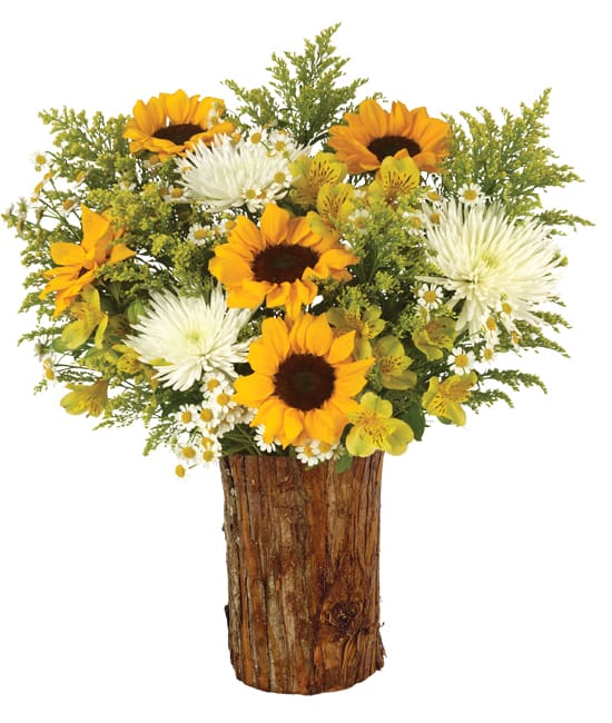 Warm crisp autumn Bouquet - Inspired by the warm, crisp autumn sun; this bouquet has a natural uplifting effect that makes good times great and hard times better. Optimistic mix of sunflowers, white Monte Casino asters, yellow Peruvian lilies, yellow solidago and Fuji mums. Our bark vase gives it the perfect fall presentation.Vase:  glass with bark