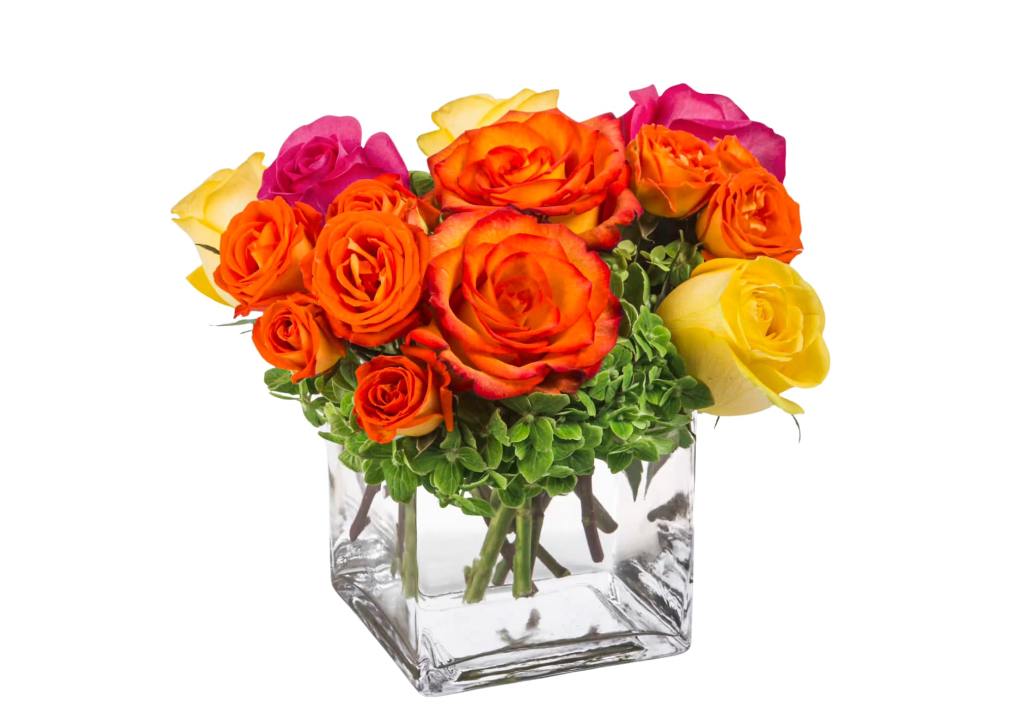 Bright Morning  - Pink, yellow and orange roses come together with green hydrangea for a bright cube of sunshine. This arrangement lights up any space and will improve anybody's day. A perfect gift for all occasions.    