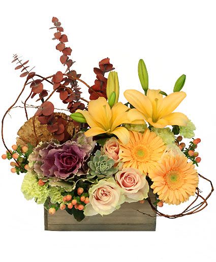 FALL COTTAGE FLORAL DESIGN  - A beautiful show of colors changing from summer to fall, this arrangement features vibrant peach lilies and gerberas, lush green succulents, and crisp purple kale with dried eucalyptus. Celebrate the coming of Fall with the best flowers of the season! 