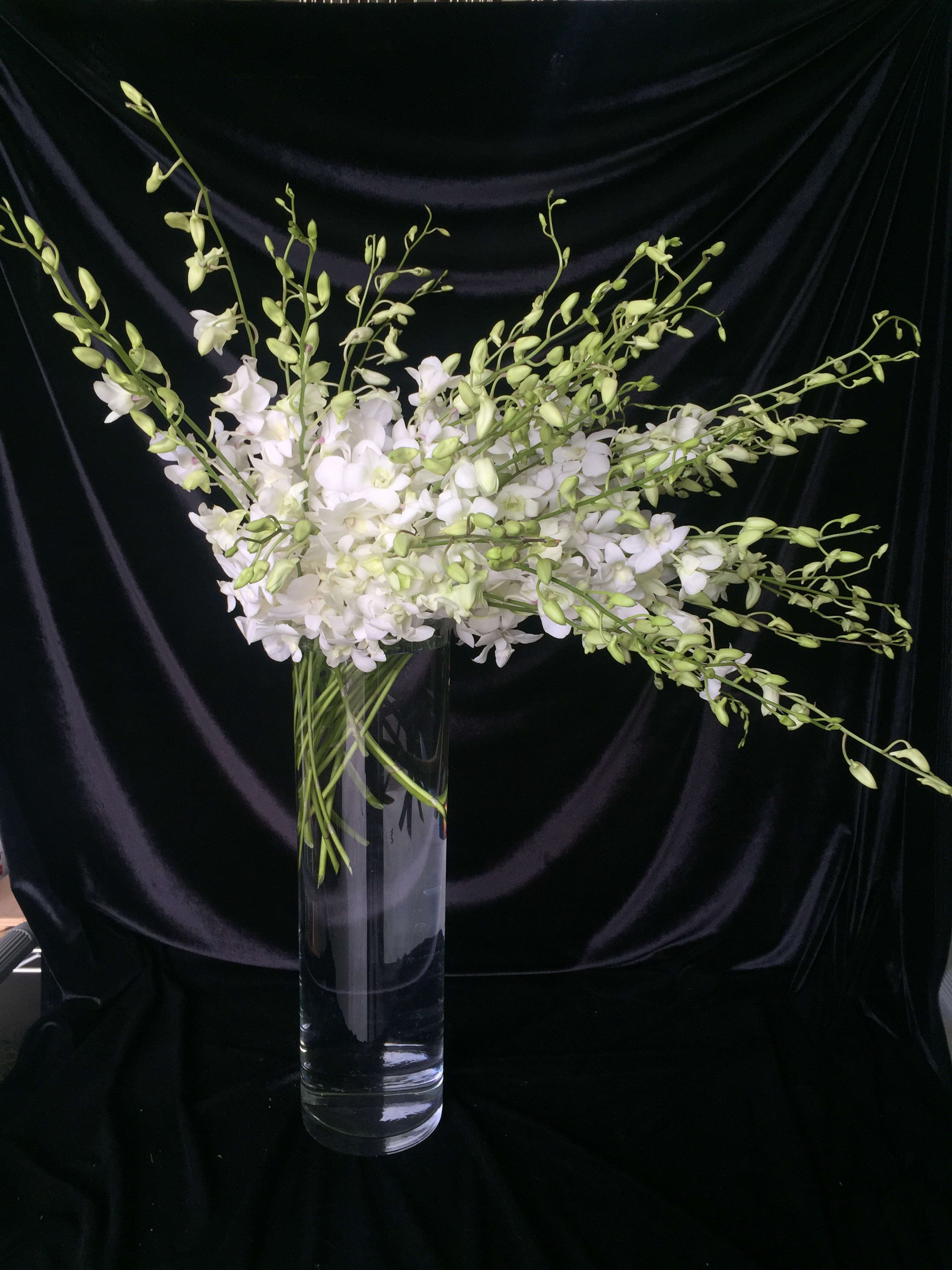 White orchid arrangement in a tall clear glass vase