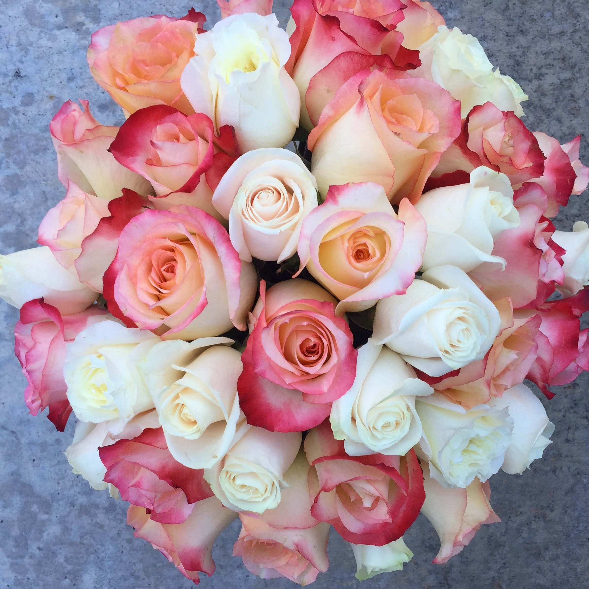 Bouquet of pink and white roses with red-edged petals