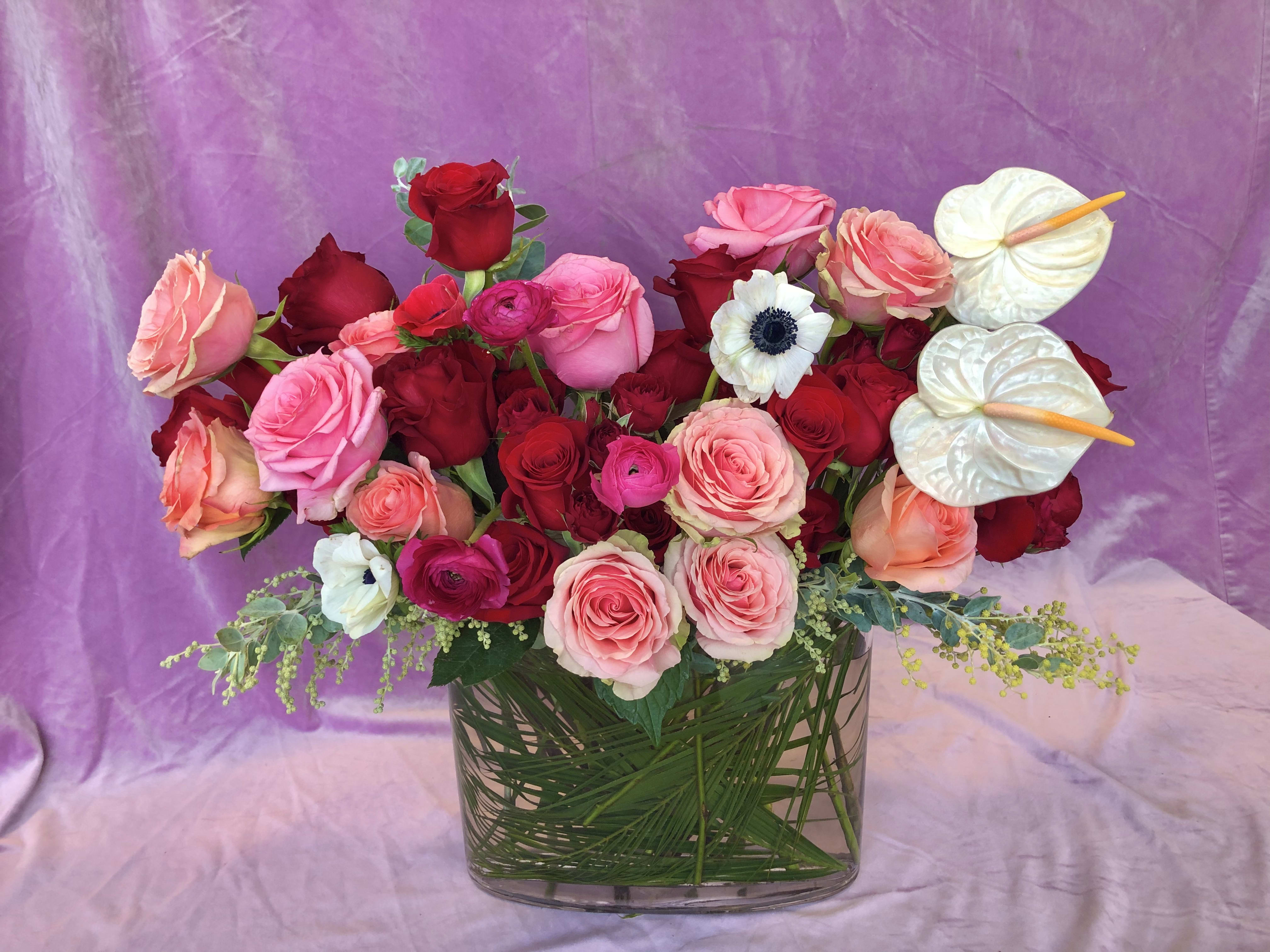 Bouquet of pink and red roses in a glass vase with white anthuriums