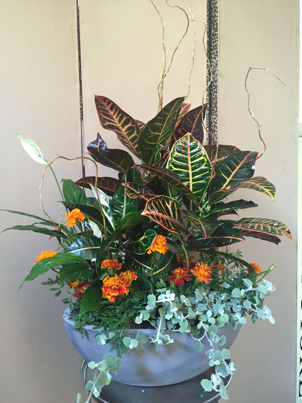 Potted Plant - Potted plant with orange flowers.