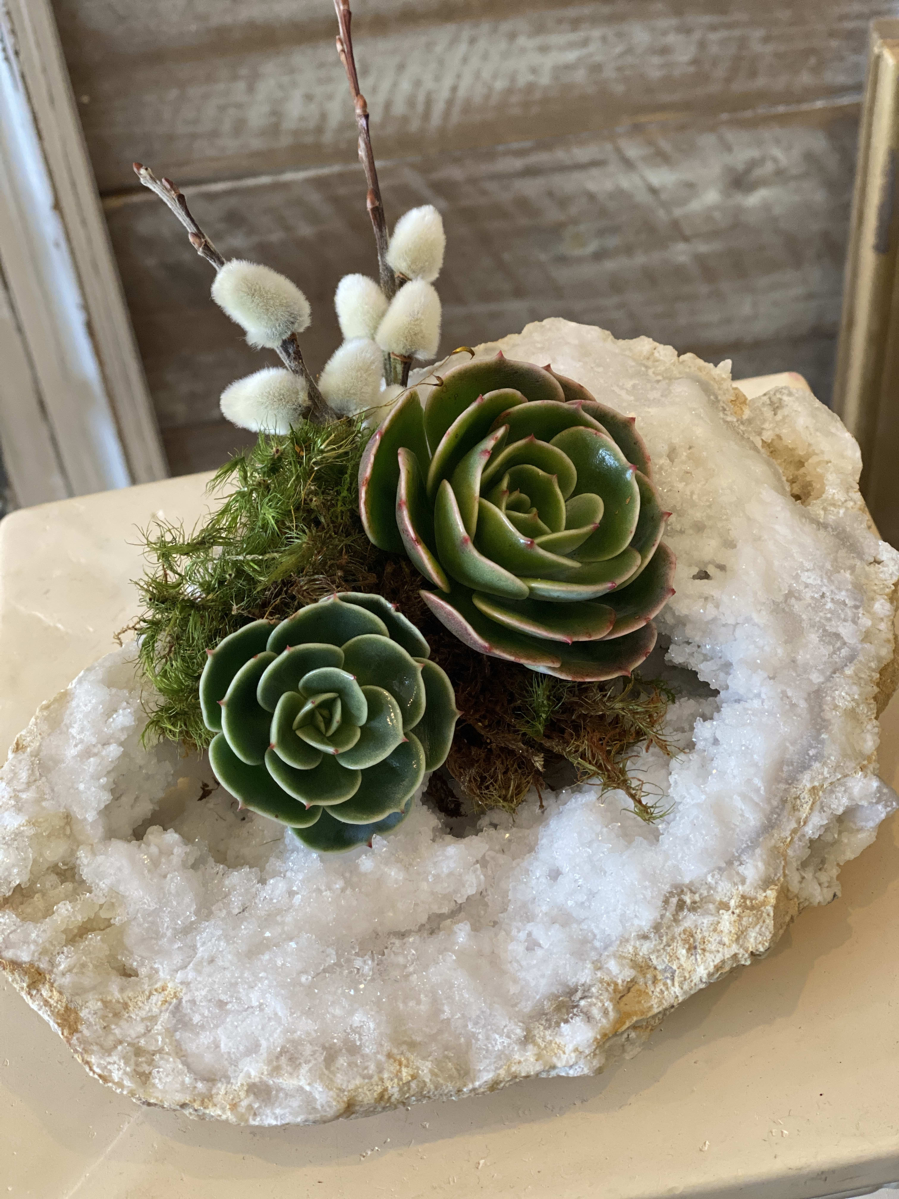  Light of Sea (ARCHIVED) -  Minerals in Keokuk Geodes (Primarily from the Warsaw Formation decorated with fresh Succulents.