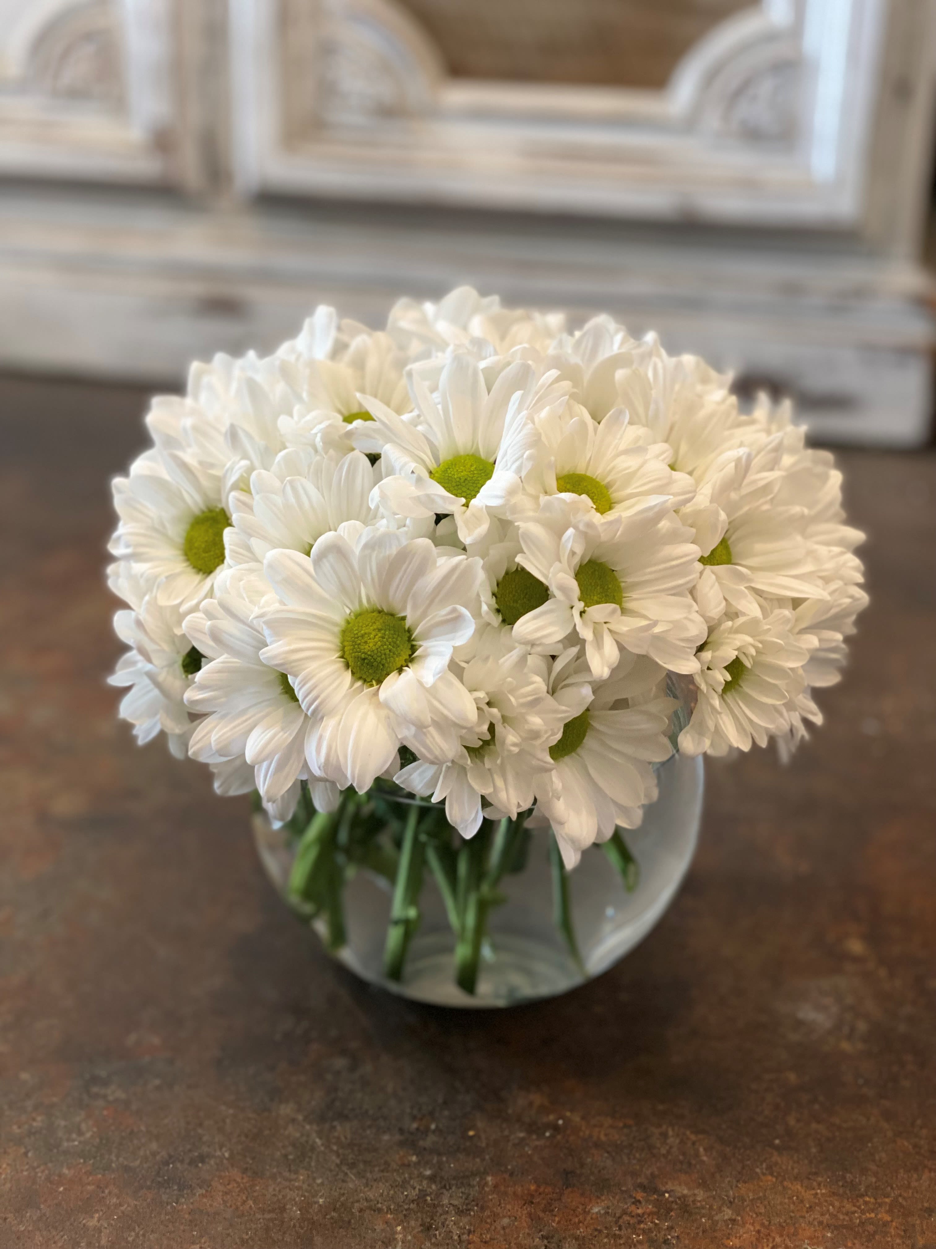 Daisy Lane - Fresh White Daisys designed in a 5x5 Clear Glass Bubble.