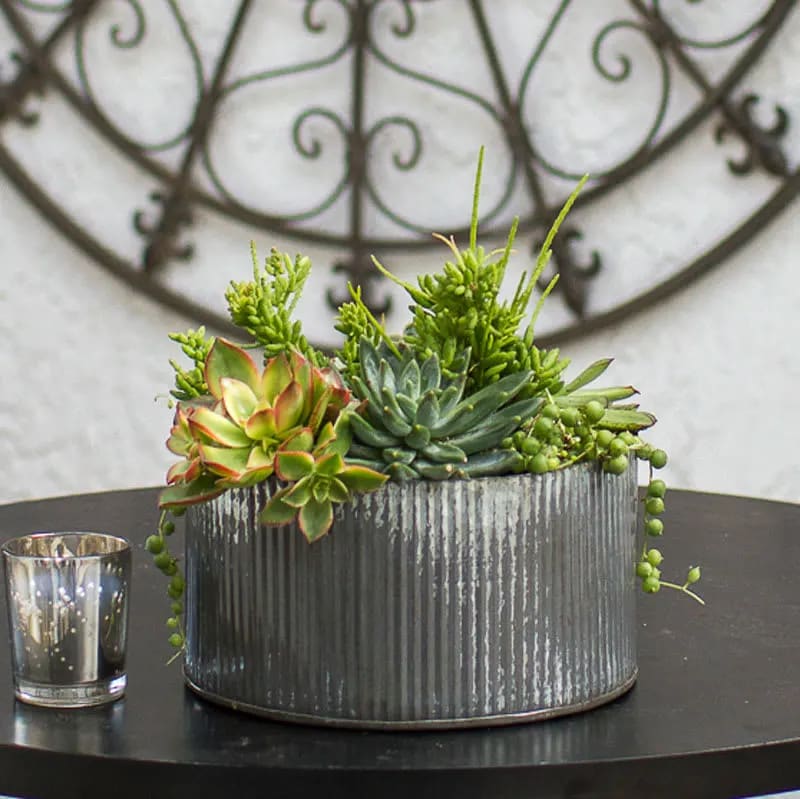 Succulent arrangement in a ribbed metal container beside a small candle holder