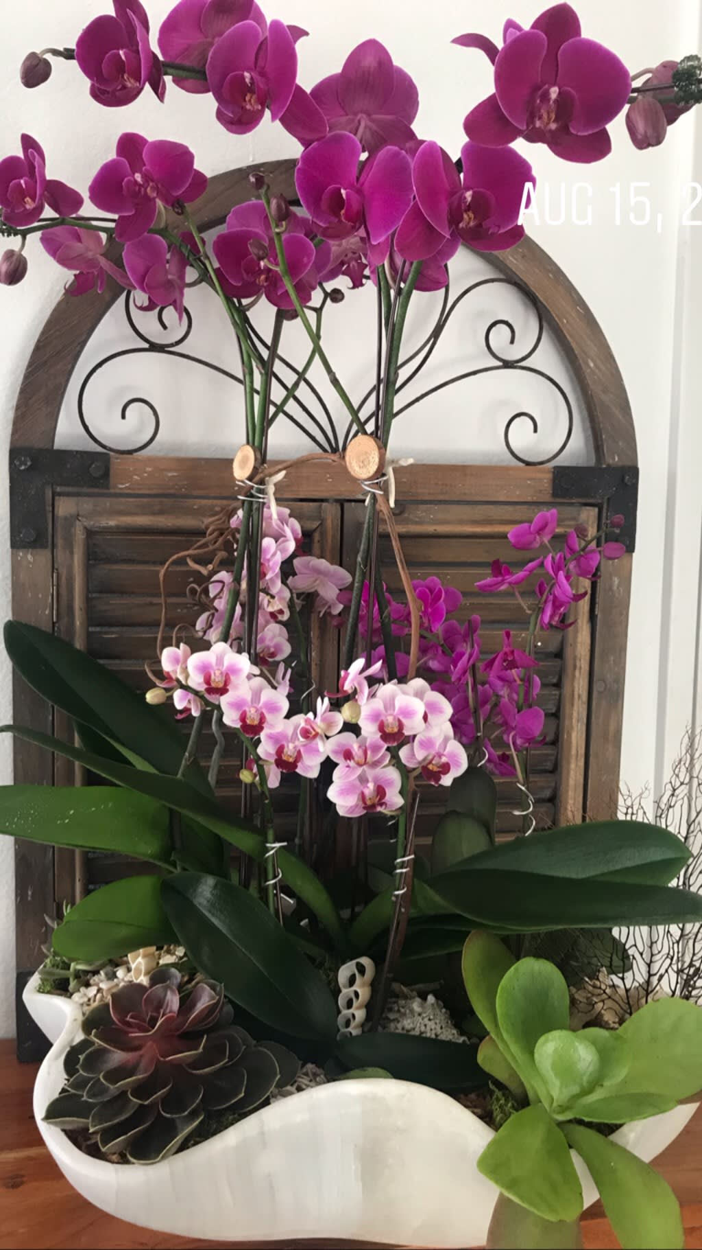 Potted orchid arrangement with purple and pink blooms in a white planter