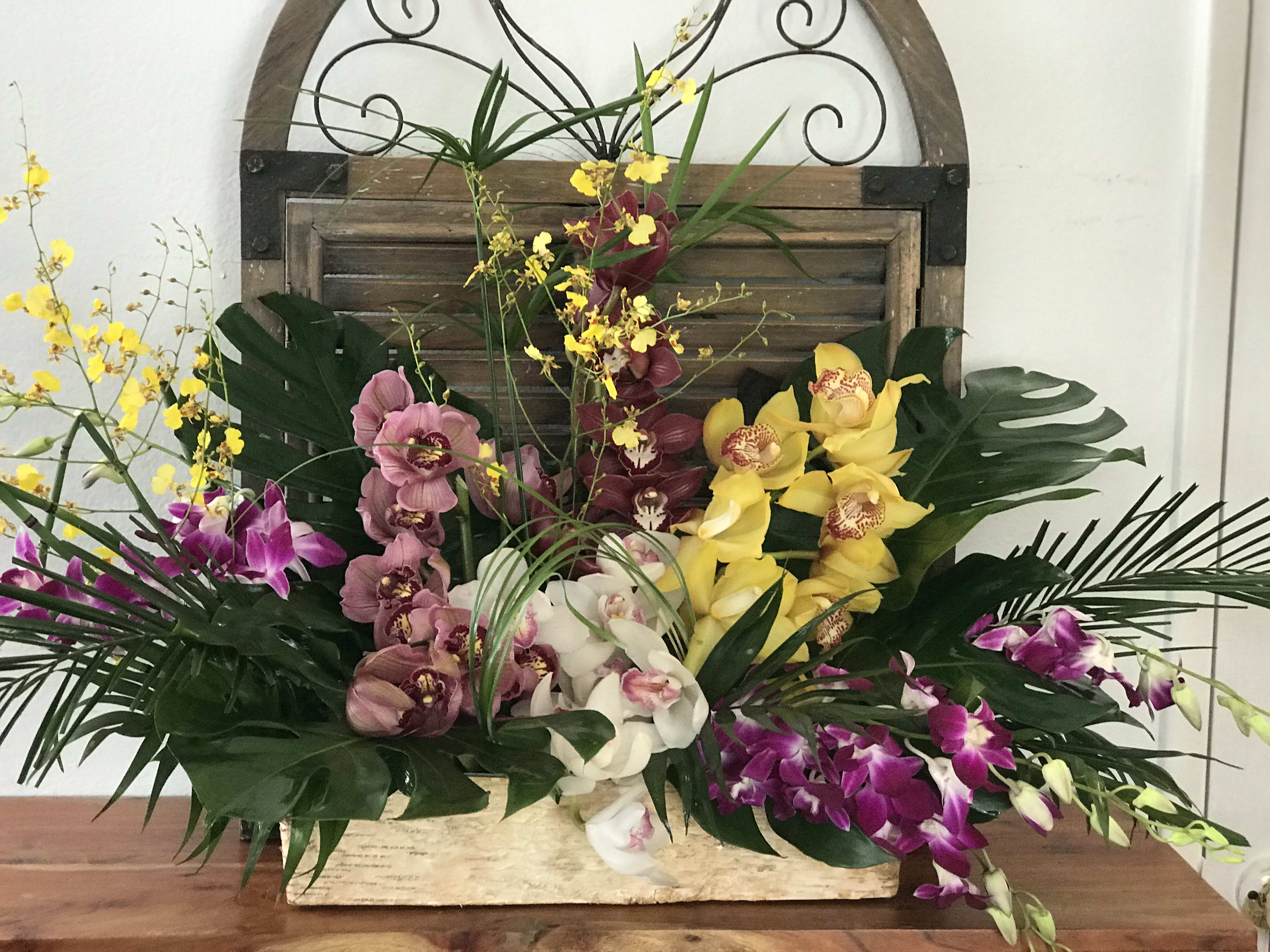 Large tropical orchid arrangement in a rectangular container