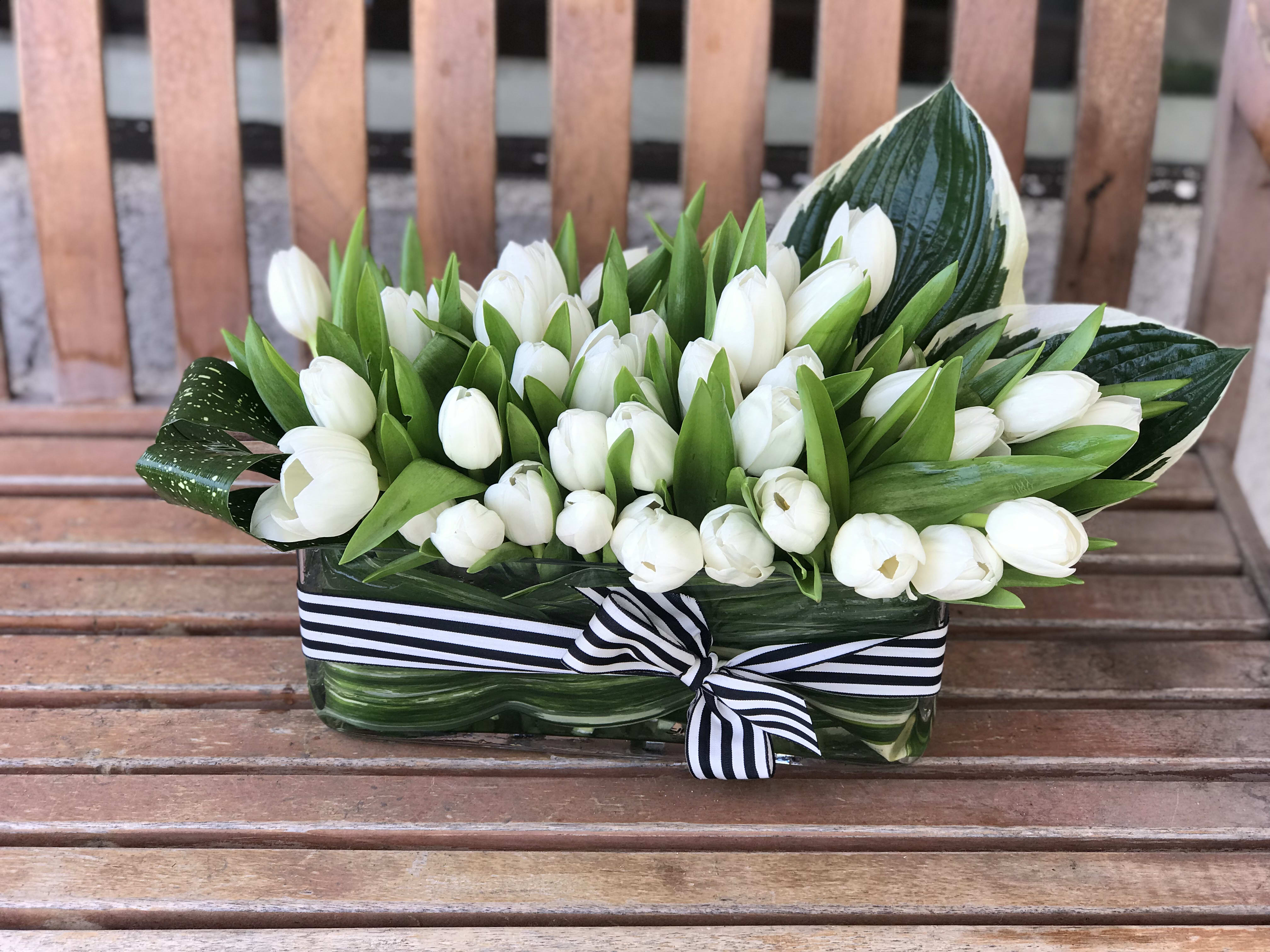 White tulips arranged in a rectangular glass vase with a striped ribbon