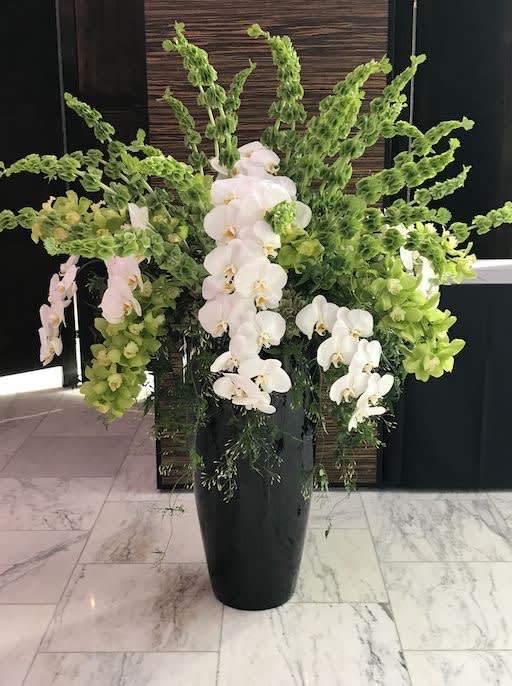 Lovely memories - Arrangement designed to inspire happy memories of times gone by. Handcrafted  artisan florist of bright and beautiful blossoms that include Long cascade of phanelopsis and cymbidiums all   arranged against a background of lush green aralia, bells of Irland, and aspidistra leaves. It is designed for display on the floor  impressive, memorable expression.