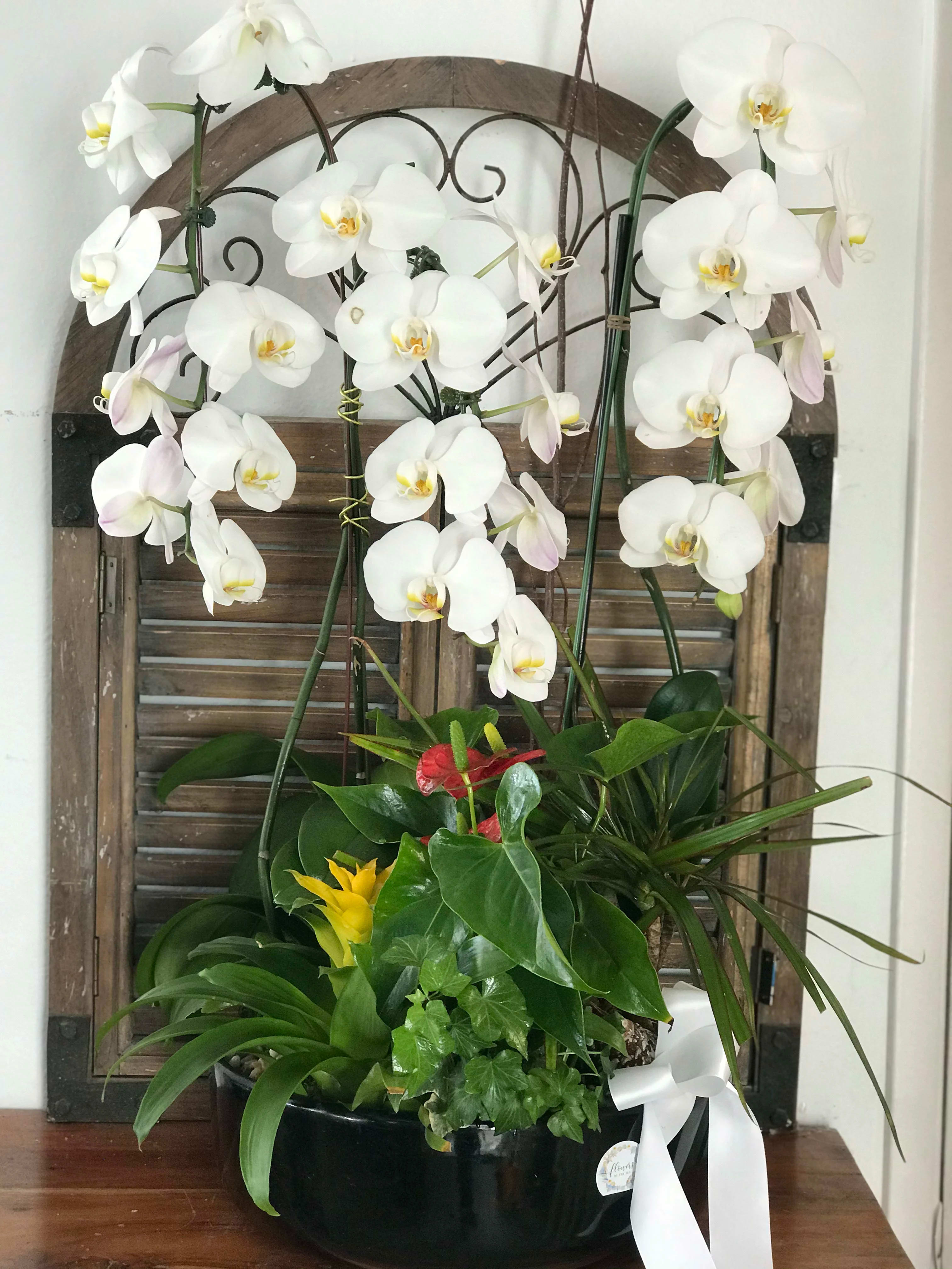 White orchids arranged in a black planter with mixed tropical foliage