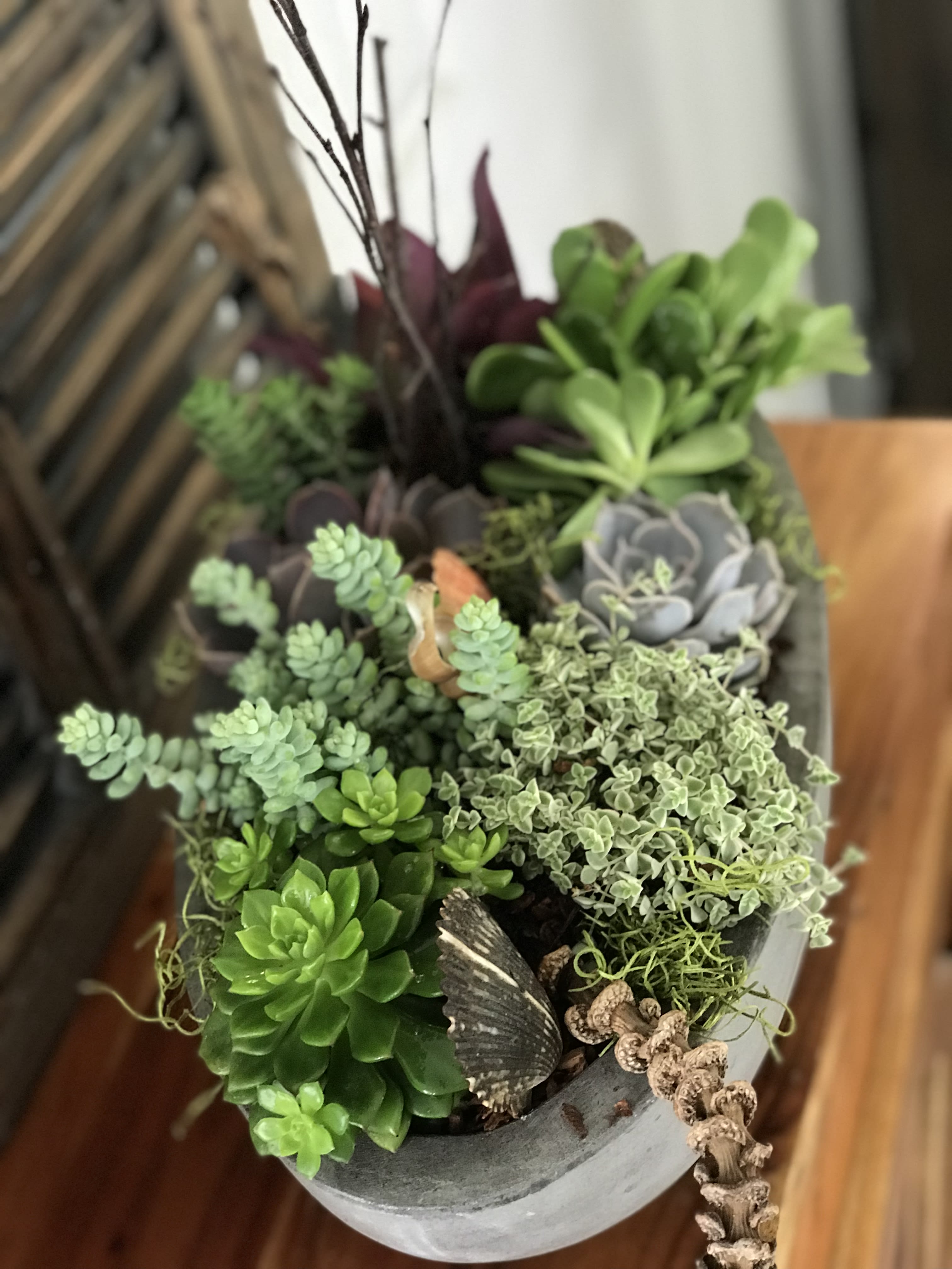 Potted succulent arrangement in a gray container with mixed green and purple plants