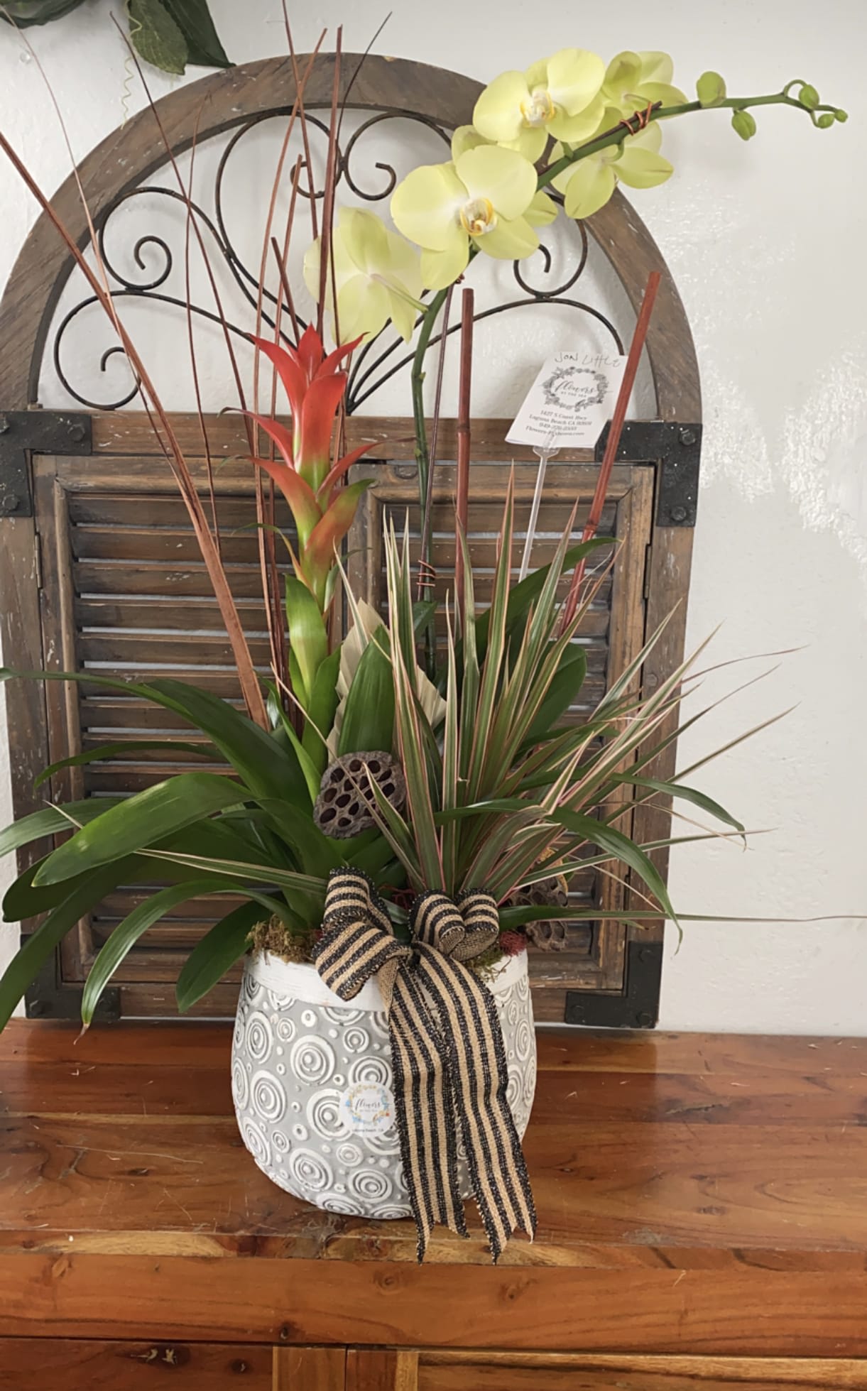 Tropical orchid and bromeliad arrangement in a patterned pot with ribbon
