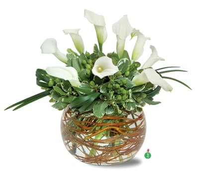 White calla lilies arranged in a round glass vase with green foliage
