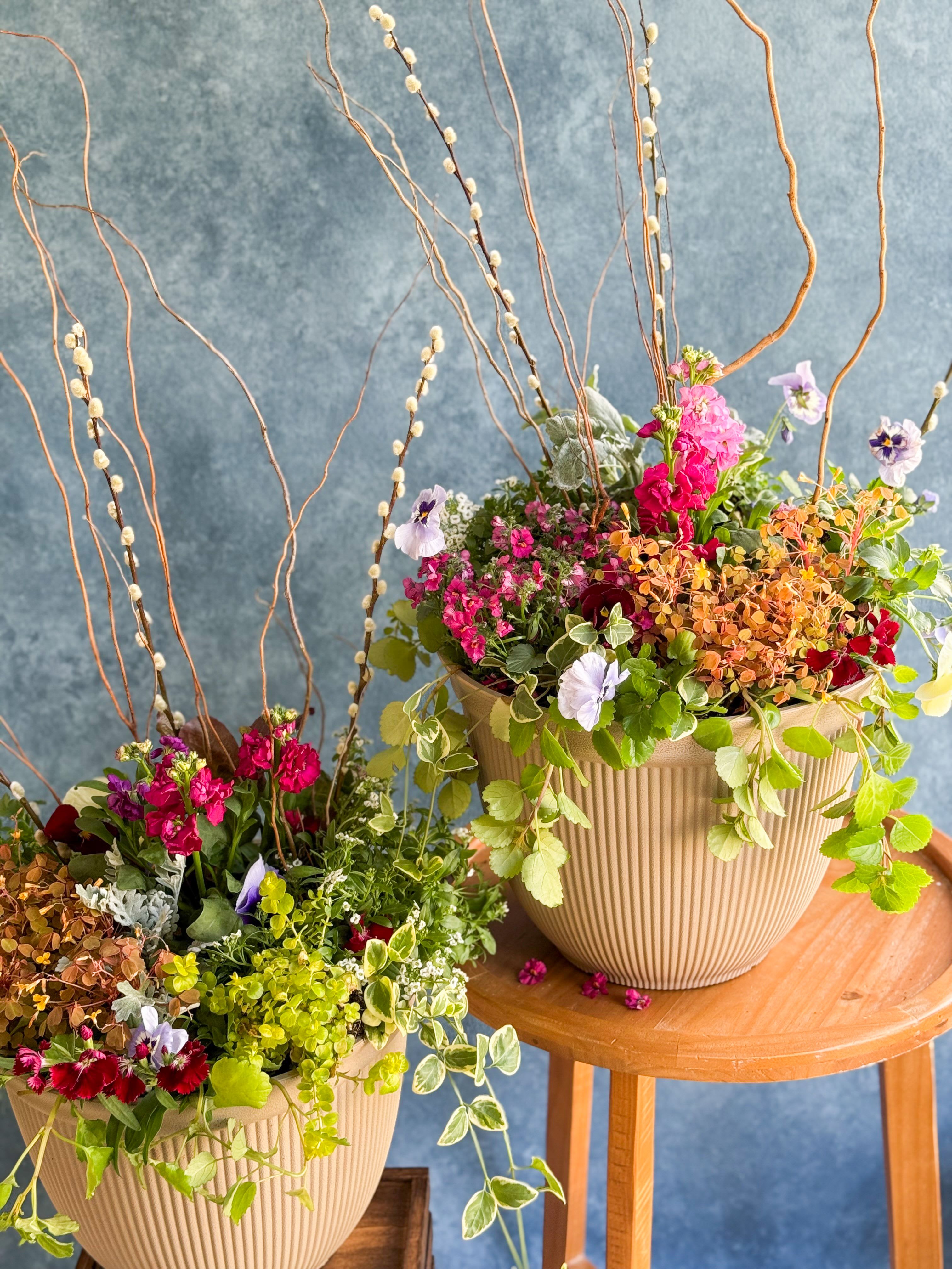 Two mixed floral arrangements in ribbed beige pots with tall curly branches