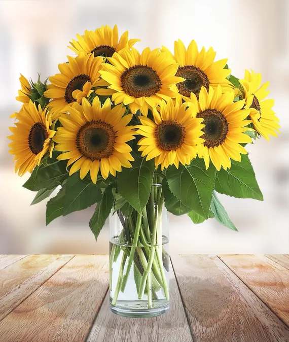 Bouquet of yellow sunflowers in a clear glass vase