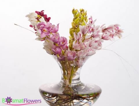 Pink and white orchids in a clear glass vase