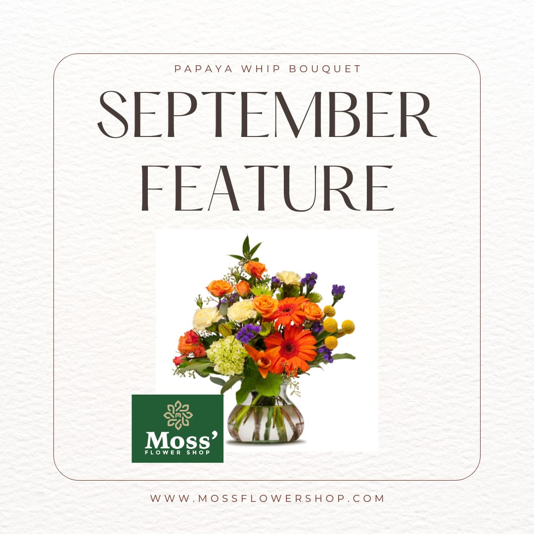 SALE - Papaya Whip Bouquet - Our September Feature Bouquet is on Sale.  This Premium Design, Papaya Whip, features a selection of beautiful blooms in bright colors designed in a clear vase.  Send classic flower favorites as a birthday gift, get well and more.