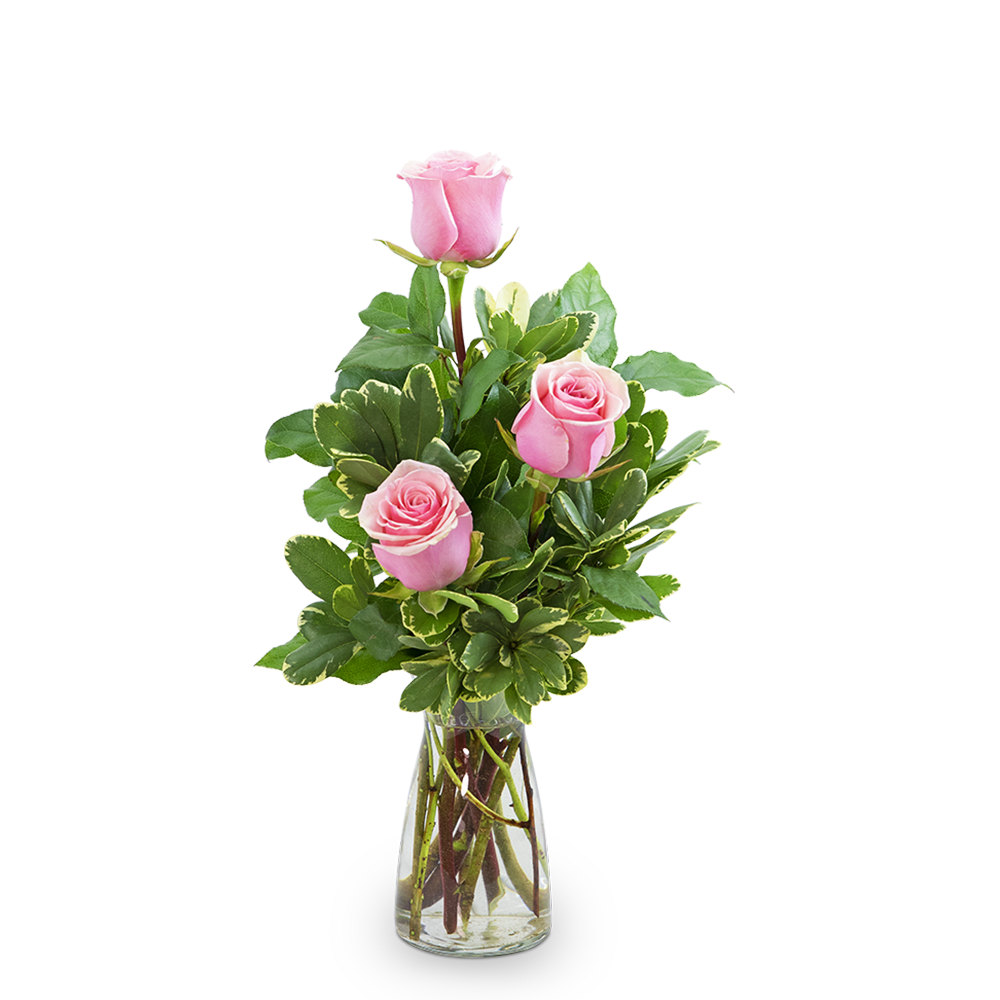Pink roses arranged in a clear glass vase with variegated greenery