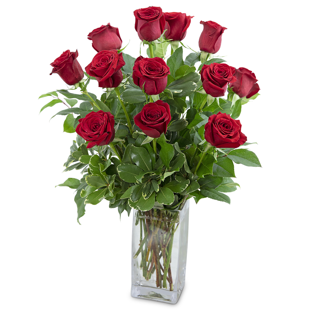 Classic Dozen Red Roses - Red roses have always been the symbol of love and romance, and continue to be the best way to send your love. Our Classic Dozen Red Roses is a winner every time. One dozen red roses, along with premium foliage, are sure to make a bold statement of love for your special someone. Say I love you with this perfectly romantic anniversary gift. 