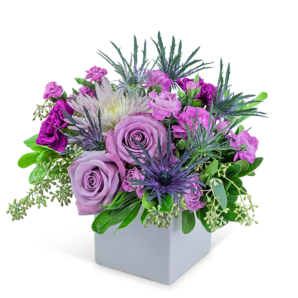 Cleopatra Moon - With its deep purple tones, this arrangement is as classic as its namesake. Cleopatra Moon features roses, dianthus, carnations, and spider mums accented with a variety of foliage. This beauty is sure to make someone's week!