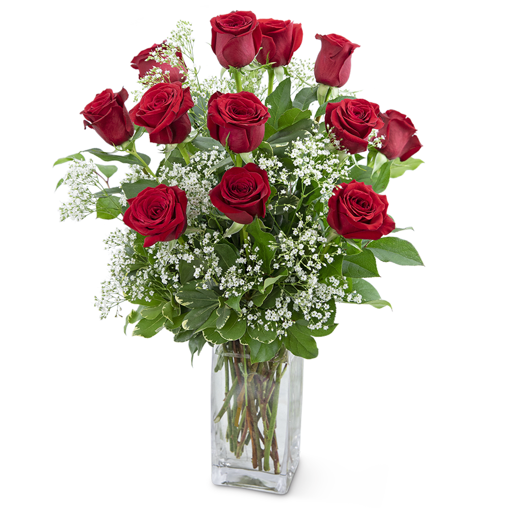 Red roses arranged in a clear glass vase with white filler flowers