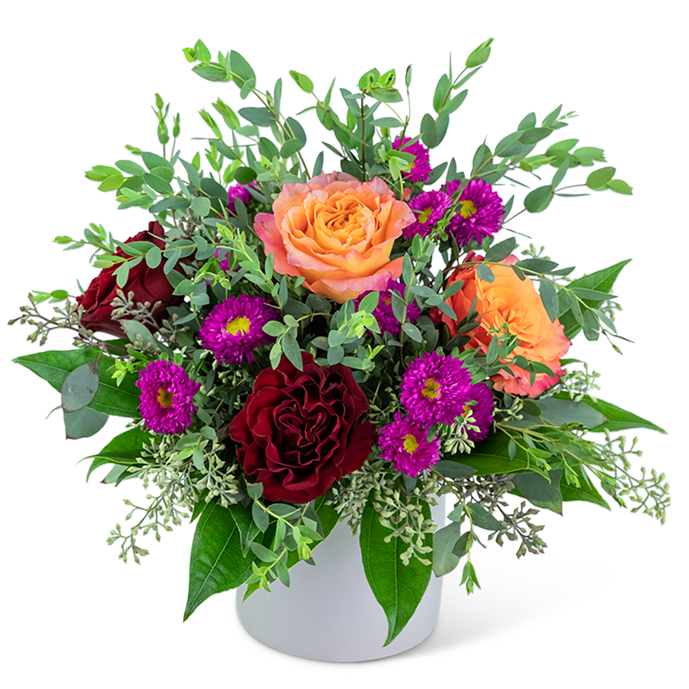 Bouquet of orange and red roses with purple daisies in a white vase