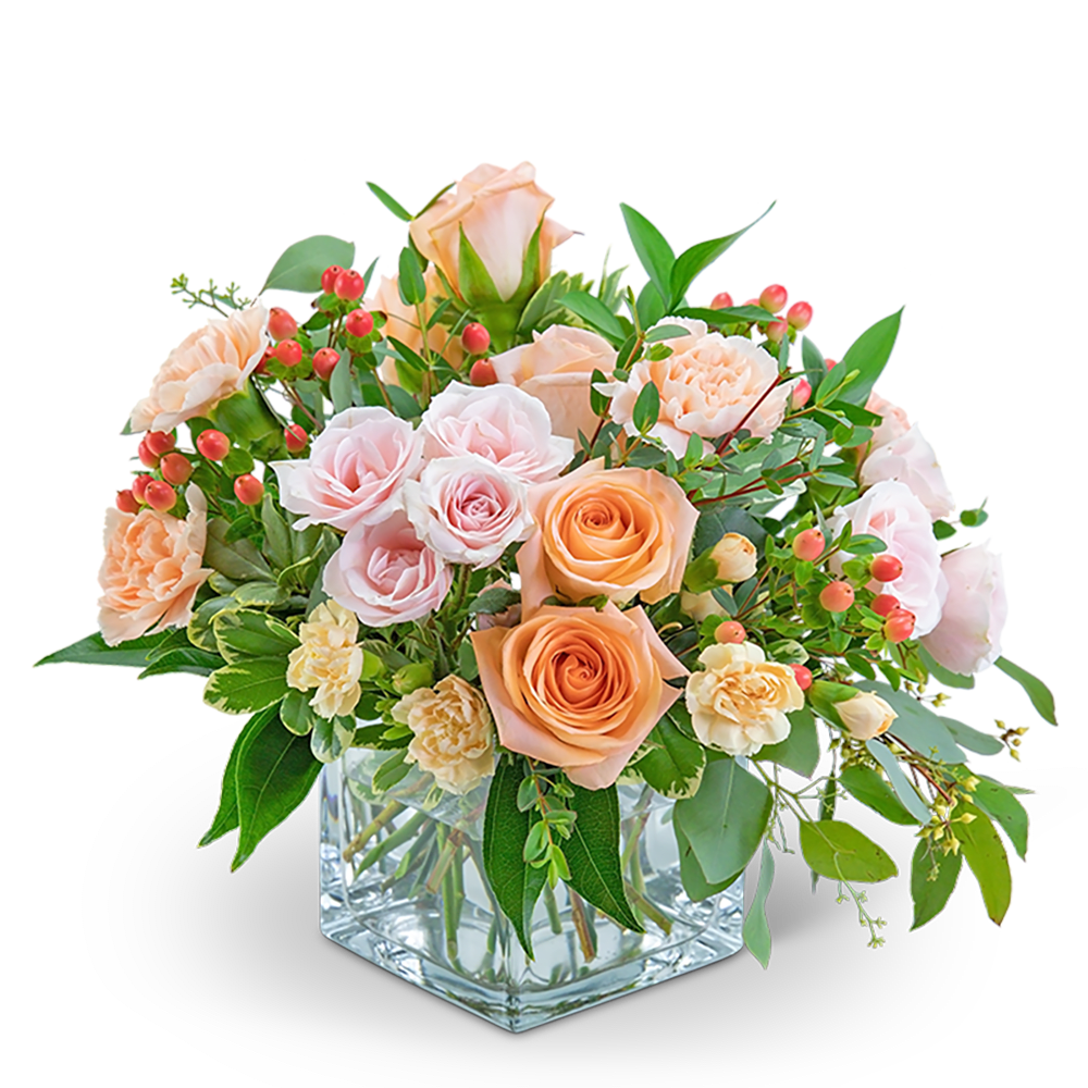 Sorbet Sparkle - Add a sparkle to someone’s day with this sweet arrangement! Sorbet Sparkle features roses, carnations, hypericum berries, and assorted foliage in a clear cube. This arrangement is the perfect gift for a friend, family member, or someone special.