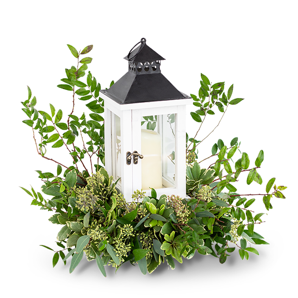Peaceful Light - A lantern is a great keepsake for the home, but is also a comforting symbol of lighting the path ahead. Peaceful Light is a customer and shop favorite, as a sympathy gift, or just because. A beautiful white lantern surrounded by premium foliage creates a peaceful atmosphere and serves as a beautiful keepsake for years to come. This design will look perfect in the middle of a dining or coffee table, and will be a treasure to the recipient.