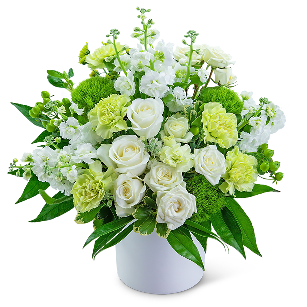 White roses and pale green carnations in a white vase
