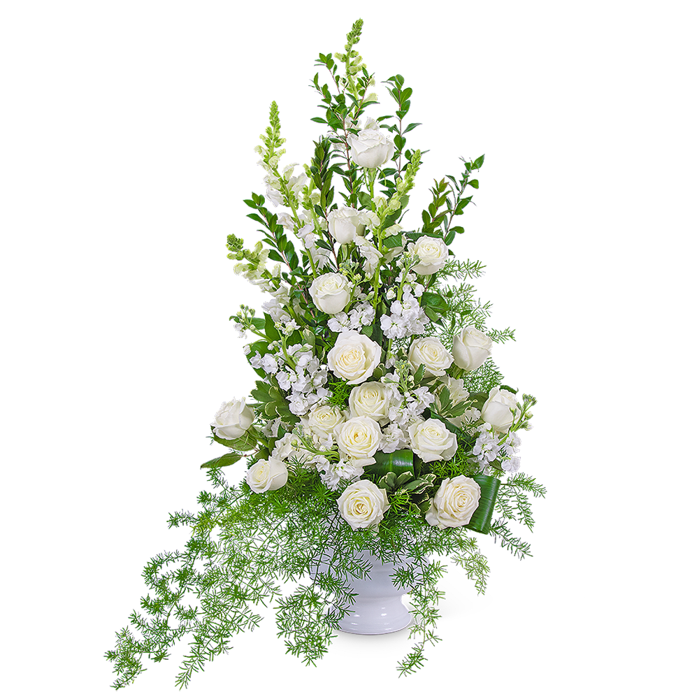 White roses and white stock in a white vase