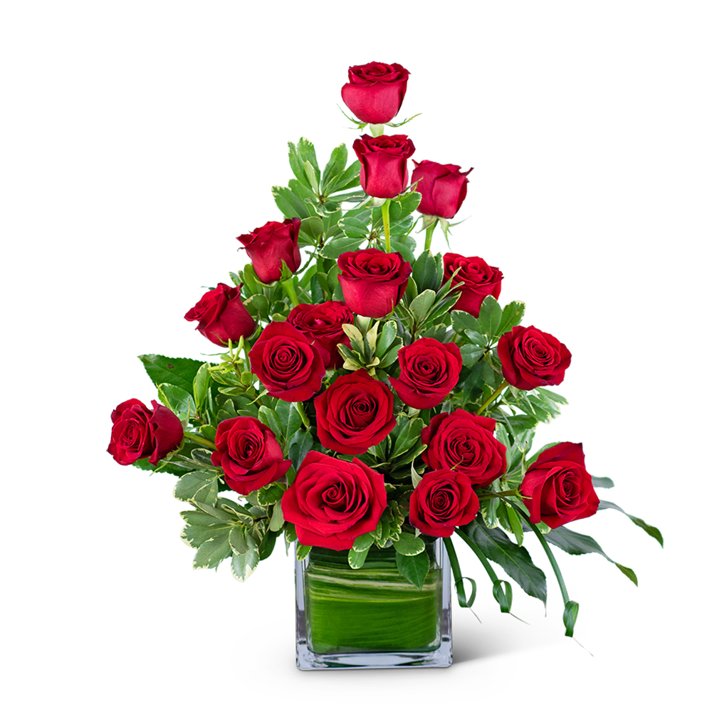 Red roses arranged in a square glass vase with green foliage