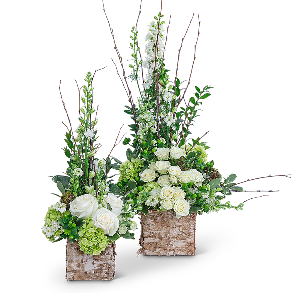 Two tall floral arrangements with white roses and green blooms in birch containers