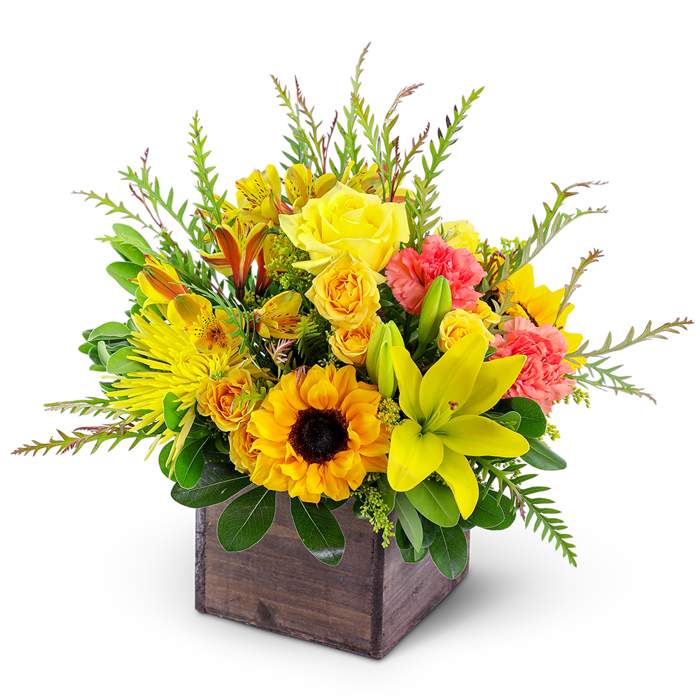 Sun-Kissed Favorite - This sunny mixed flower arrangement has been chosen and designed by our team of professional florists to show off the rich colors and textures of Fall. Sun-Kissed Favorite is a beautiful way to send birthday wishes, thank you wishes, or to express your love and devotion. We feature premium Sunflowers, Roses, Mums, Lilies, Alstroemeria, and Carnations, artistically arranged with premium foliage in a rustic wooden cube.
