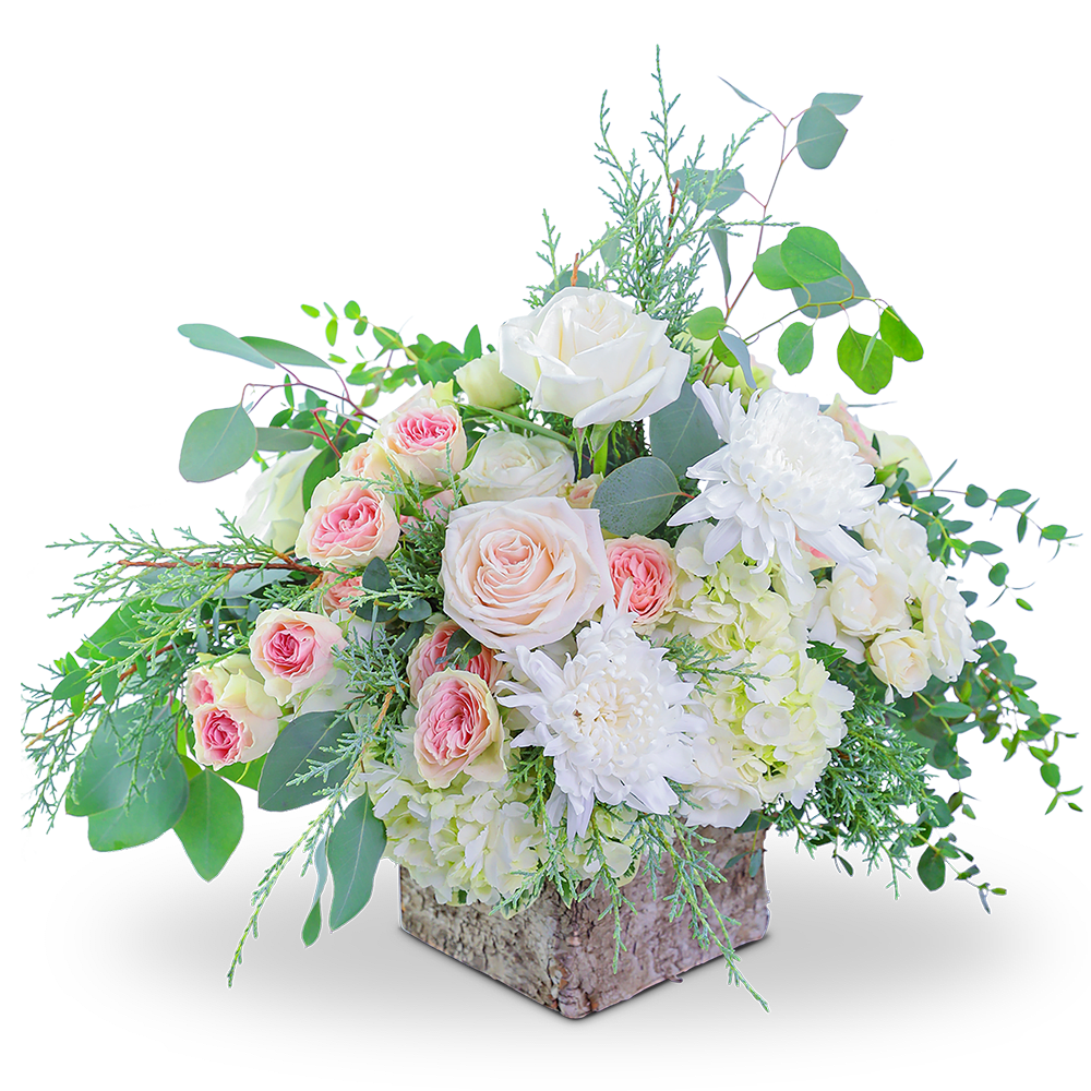 Wintry Birch Blooms - Awaken the senses as you walk into your own romantic floral fantasy! Traditional roses, contemporary mums, and playful hydrangea mix to create a stunning bouquet! Wintry Birch Blooms is bursting with blossoms and arranged in an eye-catching birch cube, accented with premium foliage. A shop favorite, this timeless beauty is perfect for any occasion!