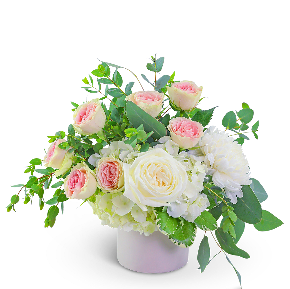 Pink and white roses in a white vase with greenery