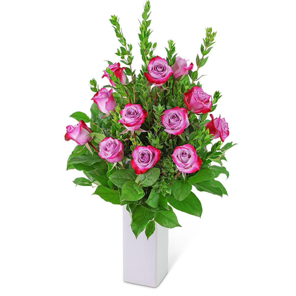Pink roses arranged in a white rectangular vase