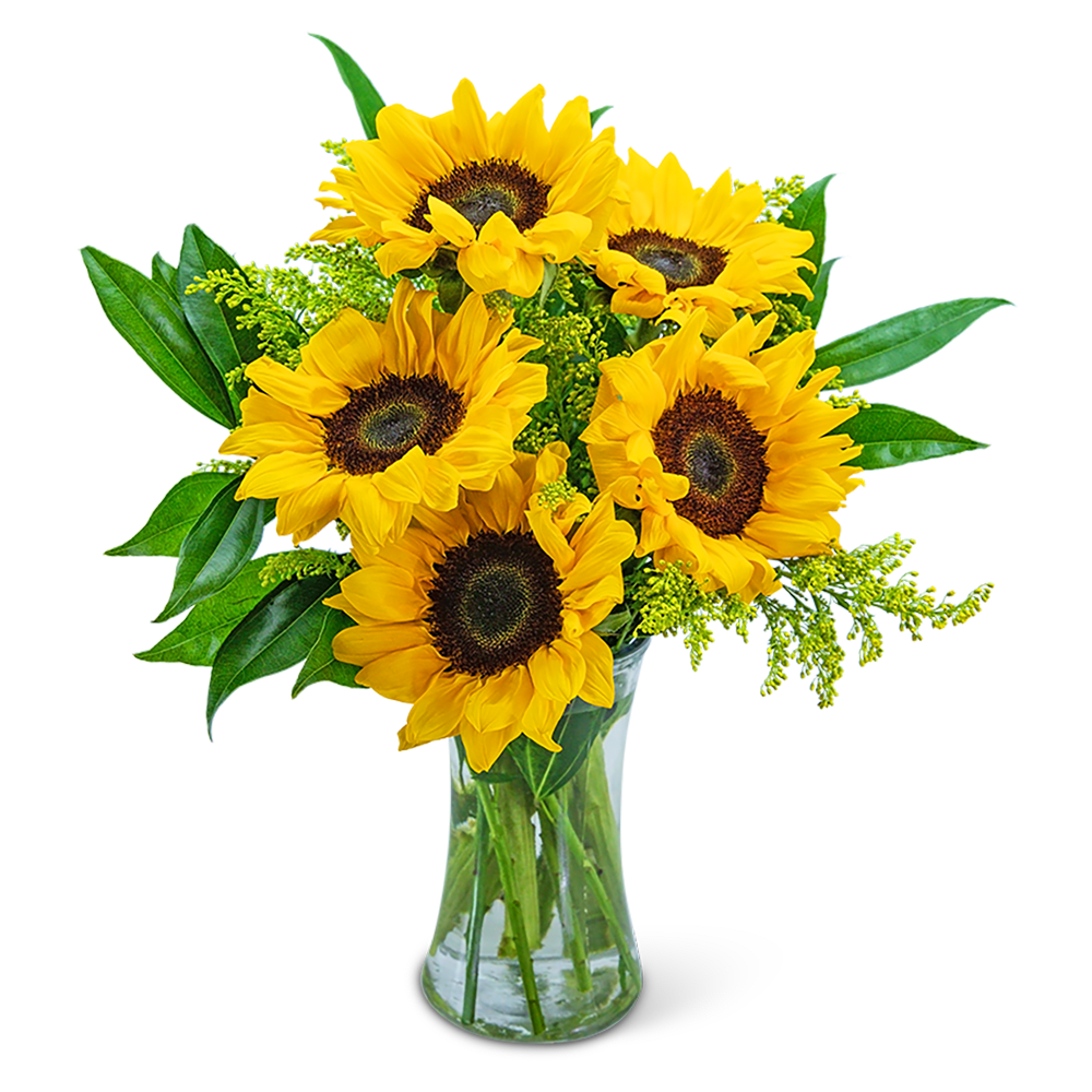 Bouquet of sunflowers in a clear glass vase
