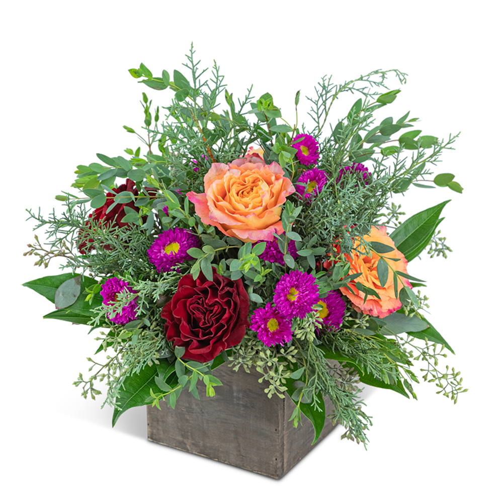 Hearth and Haven - Add a warm glow to any home or office with this colorful arrangement. Hearth and Haven features unique Roses, Matsumoto Asters, Cocculus, Parvifolia, Seeded Eucalyptus, and Evergreen in a rustic wood box. This bouquet is the perfect gift for any occasion!