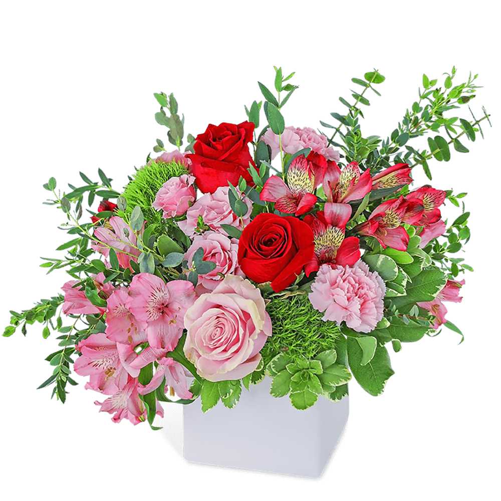 Pink and red flower arrangement in a white vase