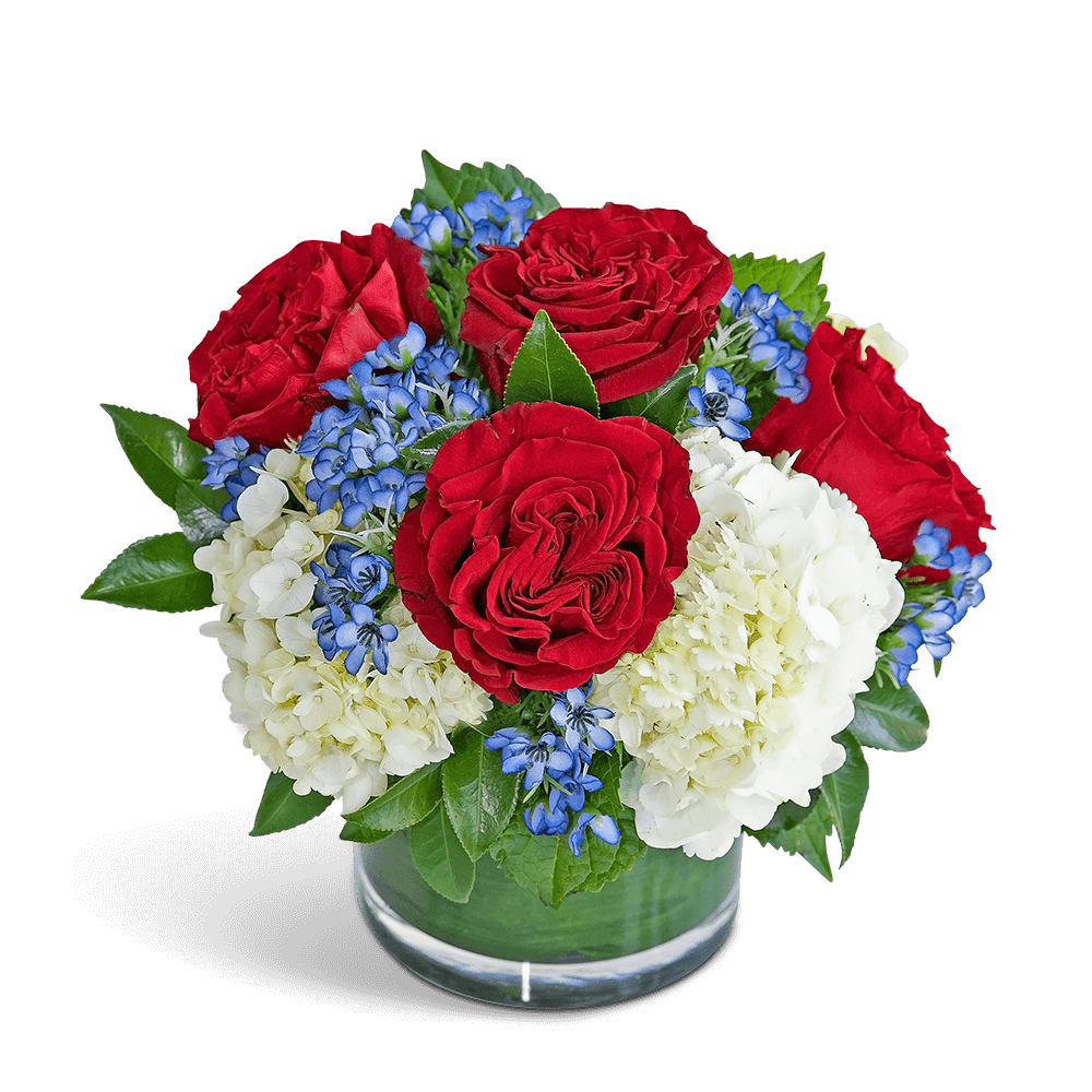 Red roses and white hydrangeas with blue accents in a glass vase