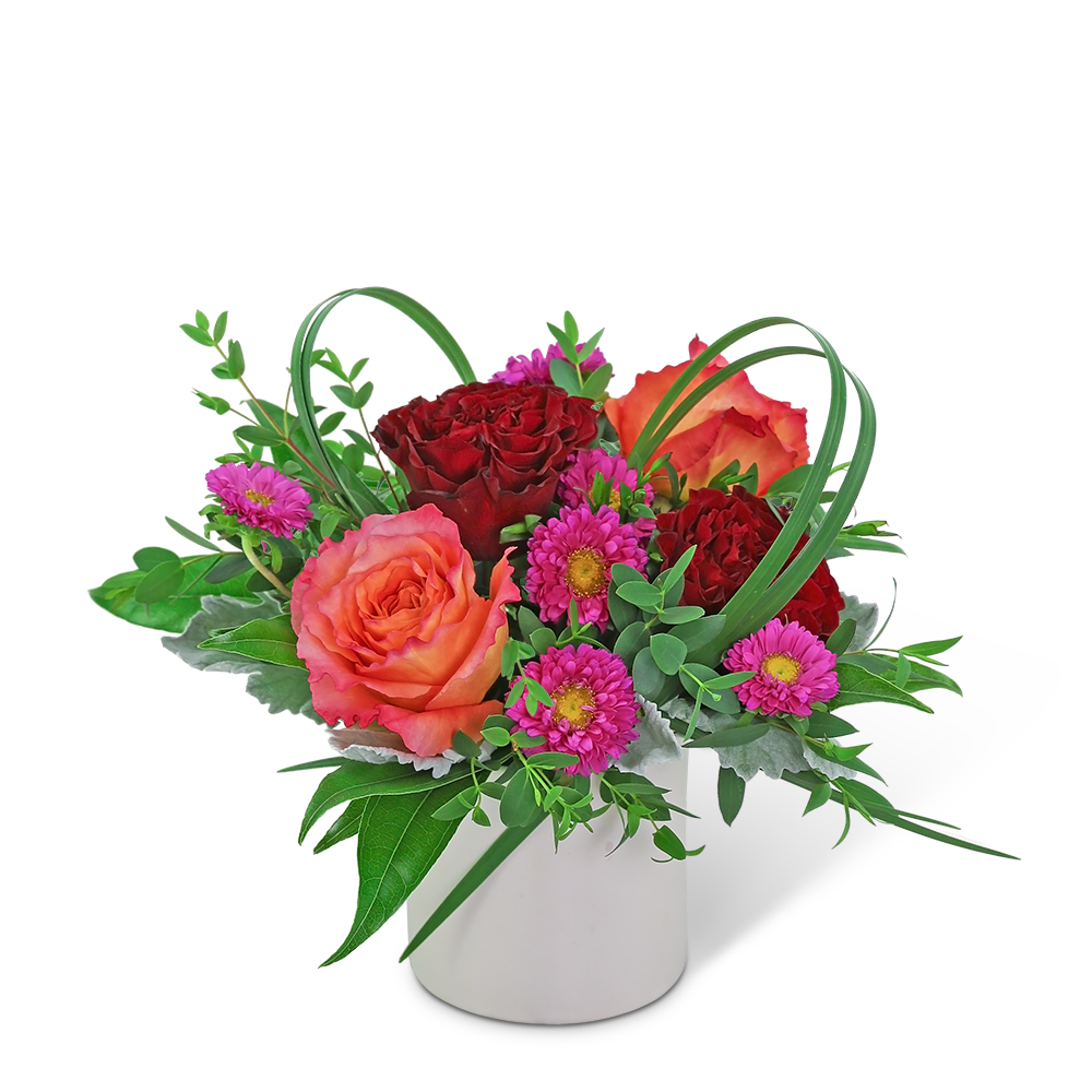 Bouquet of red and orange roses with pink daisies in a white vase