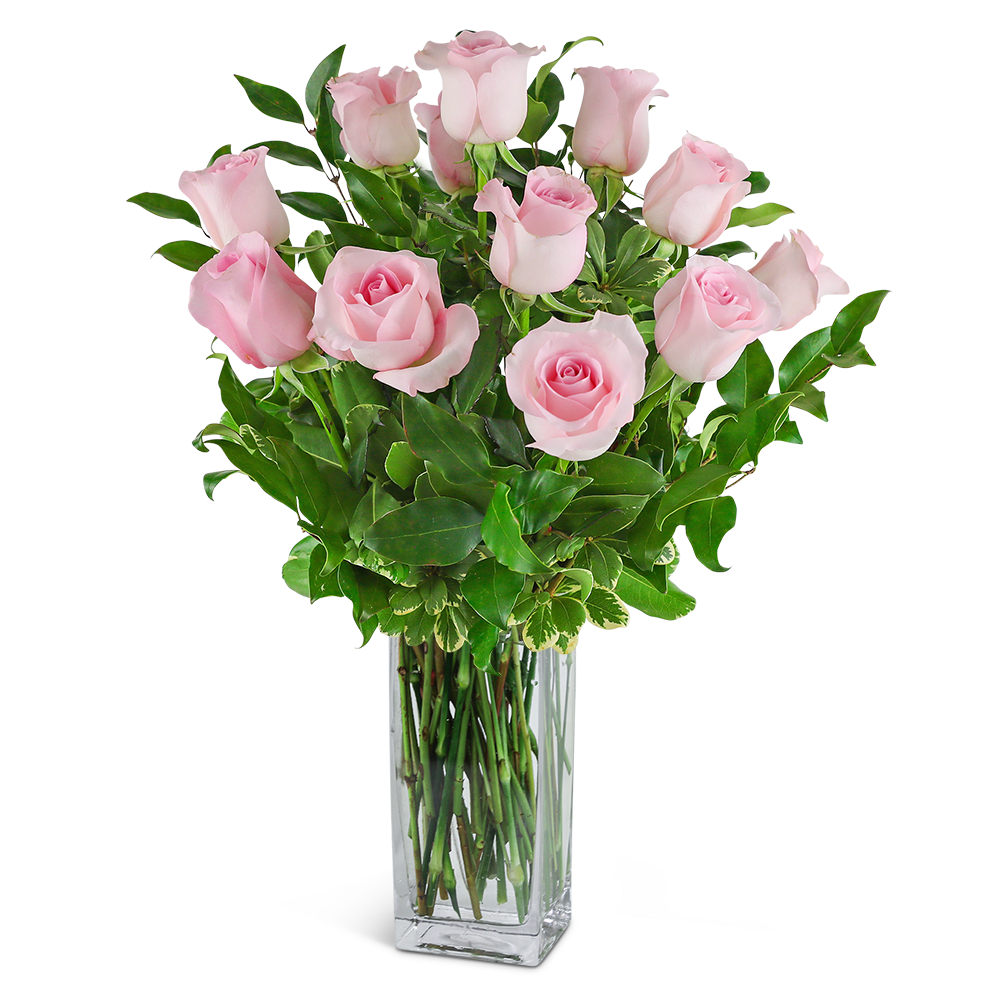 Pink roses arranged in a clear glass vase