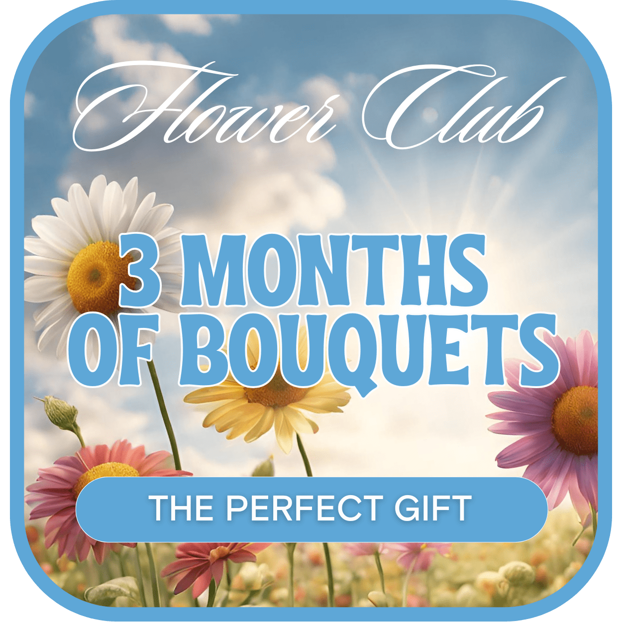 Flower Club graphic with daisies and the text 3 months of bouquets