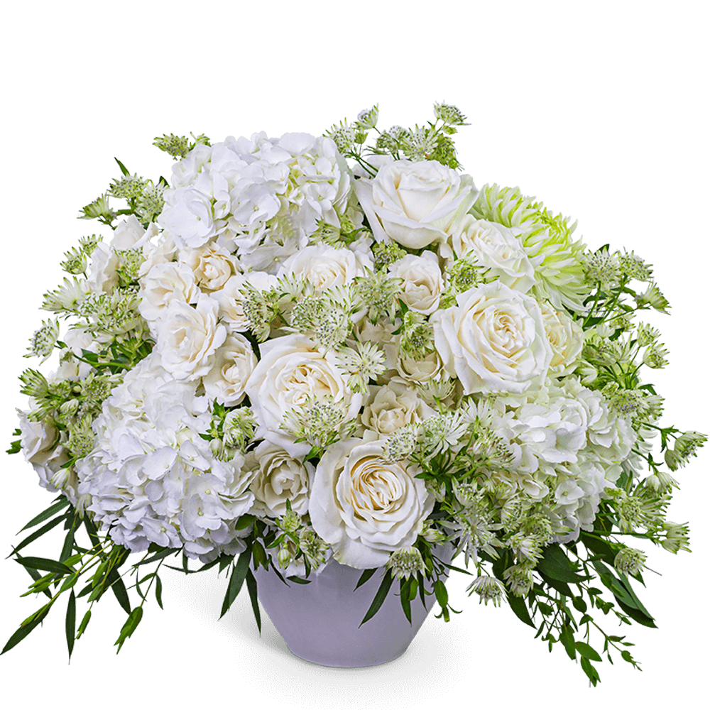 Repose Among Roses - Repose Among Roses is an elegant all-white arrangement featuring premium Roses, Hydrangea, and other accent flowers and premium foliage. Designed in a white ceramic vase, it's an ideal choice for sympathy, anniversaries, or a graceful thank you gift. Our floral designer may make thoughtful substitutions while maintaining the overall look of the arrangement.
