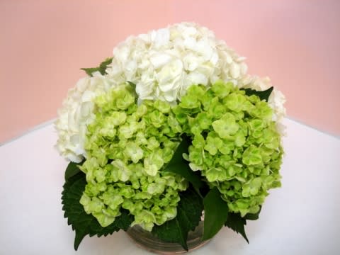White and green hydrangeas arranged in a low glass vase